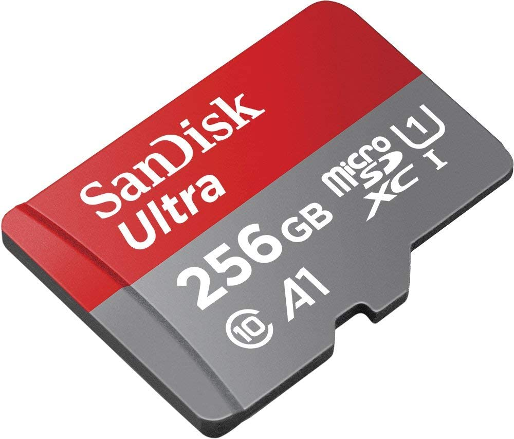 SanDisk 256GB microSDXC Class 10 Memory Card