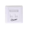 Giganet Double Faceplate